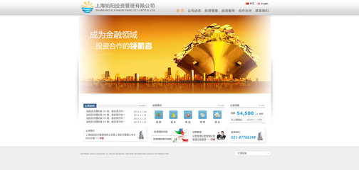 上海铂阳网站设计