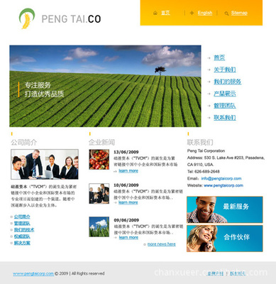 上海网页设计,上海网站制作图片