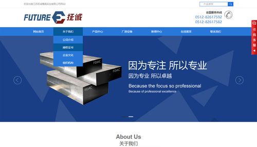 品牌网站_上海网站建设|上海网站制作|上海网站设计|上海网站优化